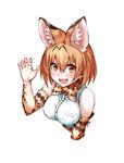  :d animal_ears blonde_hair breasts elbow_gloves extra_ears eyebrows_visible_through_hair fang gloves highres kemono_friends looking_at_viewer medium_breasts miyanagi open_mouth print_gloves serval_(kemono_friends) serval_ears serval_print short_hair simple_background smile solo upper_body white_background white_gloves yellow_eyes 