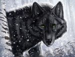  2017 ambiguous_gender black_fur black_nose canine day detailed_background feral flashw fur green_eyes mammal outside snow snowing solo standing wolf 