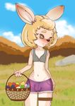  blonde_hair bulge easter easter_bunny egg_basket hair holidays lagomorph mammal myles penis rabbit 