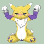  artist_request blue_eyes digimon furry pussy renamon 