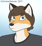  2017 anthro blue_eyes brown_hair bust_portrait canine clothed clothing corporalbackrubs digital_media_(artwork) fox fur hair looking_at_viewer male mammal orange_fur portrait raised_eyebrows shirt short_hair simple_background solo t-shirt white_fur 