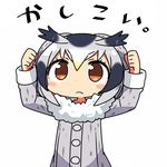  arms_up blush_stickers clenched_hands kanikama kemono_friends light_frown lowres northern_white-faced_owl_(kemono_friends) simple_background solo translated white_background 