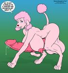  2000 anthro balls bent_over blue_eyes breasts canine cum dog doug_winger erection hair hyper hyper_penis inersex mammal nipples nude penis pink_hair poodle solo 