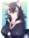  &gt;:( animal_ears black_hair blue_background blue_eyes blush border breasts character_name cleavage collar eno_yukimi eyebrows eyebrows_visible_through_hair eyelashes fang fang_out frown fur_collar grey_wolf_(kemono_friends) hair_between_eyes heterochromia huge_breasts kemono_friends lips long_hair long_sleeves looking_at_viewer multicolored_hair necktie outside_border plaid plaid_neckwear simple_background solo tail tsurime two-tone_hair upper_body v-shaped_eyebrows white_border white_hair wolf_ears wolf_tail yellow_eyes 