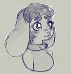  anthro blue_theme blush canine clothed clothing collar female higgyy mammal sketch smile solo 