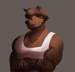 anthro bear body_hair chest_hair clothed clothing crossed_arms fur hair higgyy male mammal muscular shirt solo tank_top 