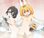  :d animal_ears bathing black_gloves black_hair blonde_hair blush breasts elbow_gloves gloves hair_between_eyes hat hat_feather helmet highres kaban_(kemono_friends) kemono_friends looking_down multiple_girls niko_(tama) nude onsen open_mouth pith_helmet pussy serval_(kemono_friends) serval_ears serval_print serval_tail short_hair small_breasts smile steam tail thighhighs uncensored wading wavy_hair 