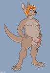  anthro balls dbd erection girly humanoid_penis kangaroo looking_at_viewer male mammal marsupial nude penis slightly_chubby smile solo standing uncut vein 