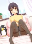  bangs bedroom black_hair black_legwear black_skirt brown_eyes closed_mouth curtains dutch_angle eyebrows_visible_through_hair failure_penguin fubuki_(kantai_collection) hair_ornament hairclip indoors kantai_collection knees_up looking_at_viewer md5_mismatch on_bed ookawa_wataru panties panties_under_pantyhose pantyhose pantyshot pantyshot_(sitting) pillow pillow_hug plant potted_plant remodel_(kantai_collection) school_uniform serafuku sitting skirt smile solo thighband_pantyhose thighs underwear white_panties window 