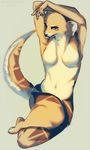  2015 5_fingers angiewolf anthro armpits breasts featureless_breasts female mammal navel sitting solo wide_hips 