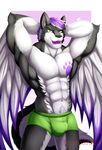  anthro bulge canine clothing feathered_wings feathers looking_at_viewer male mammal muscular primodrago solo underwear wings 