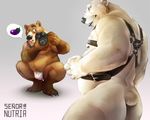  2017 anthro barefoot bear belly belt biceps big_belly black_nose blush bondage_gear brown_eyes brown_fur brown_skin bulge butt camera claws clothed clothing crouching duo eyebrows front_view fur grizzly_bear holding_object kneeling larger_male male male/male mammal muscular muscular_male nipples nude open_mouth overweight overweight_male partially_clothed pecs penis polar_bear pose simple_background size_difference skrawl smaller_male smile standing teeth tongue underwear white_fur white_skin white_tail yellow_eyes 
