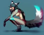  angiewolf anthro blue_eyes blue_nose blue_tongue breasts canine digitigrade featureless_breasts female hair long_hair mammal nude open_mouth simple_background smile solo teeth 