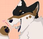  abstract_background absurd_res ambiguous_gender black_fur brown_fur canine crying cute dog dogepauus duo english_text eyes_closed feral fur grey_fur hi_res imminent_vore lagomorph macro mammal micro micro_on_macro rabbit size_difference tan_fur tears teeth text tongue vore white_fur 