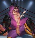  2019 abs anthro biceps canid canine canis clothed clothing digital_media_(artwork) duo fur hi_res humanoid_penis king_(tekken) male male/male mammal mask muscular muscular_male nipples pecs penis simple_background tekken topless video_games wball wolf 