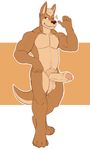  anthro balls erection flexing humanoid_penis jko_2 kangaroo male mammal marsupial nude one_eye_closed penis pubes simple_background smile solo standing uncut wink 