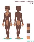  animal_genitalia anthro balls butt color_swatch front_view fully_sheathed looking_at_viewer male mammal model_sheet mustelid navel nude otter plantigrade rear_view sheath shiuk slim smile solo standing teenager theodore_cooper young 