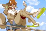  big_breasts big_feet blush breasts brown_hair canine chloe_shiwulf cloud feet female flip_flops green_eyes hair male mammal outside phone purple_eyes selfie smile wolf zp92 