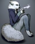  2015 5_fingers ambiguous_gender angiewolf anthro canine clothed clothing digitigrade fluffy fluffy_tail fur mammal simple_background sitting solo white_fur 