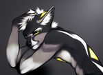  angiewolf anthro black_nose canine clothed clothing hair inner_ear_fluff male mammal simple_background solo topless white_hair wolf yellow_eyes 