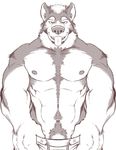  abs clothed clothing looking_at_viewer male muscular ninjav pecs penis simple_background solo teasing tongue tongue_out undressing white_background 