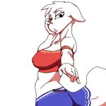  anthro breasts canine clothed clothing female looking_at_viewer mammal nipple_bulge pharos.e solo standing 