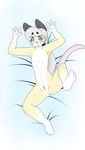 2017 3_toes anthro armpits barefoot bottomless breasts clothed clothing dakimakura_design digital_media_(artwork) female flat_chested fur green_eyes hair hi_res long_ears looking_at_viewer lying mammal mcfly0crash navel nipples nude on_back paws ponytail pussy rodent simple_background slim smile solo spread_legs spreading thick_thighs toes white_fur wide_hips 