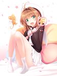  :d antenna_hair brown_hair cardcaptor_sakura cherry_blossoms full_body green_eyes haruka_natsuki hat hoshi_no_tsue kero kinomoto_sakura long_sleeves looking_at_viewer no_shoes open_mouth petals school_uniform serafuku short_hair skirt smile socks tomoeda_elementary_school_uniform white_hat white_legwear white_skirt 