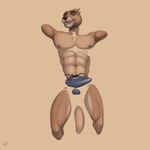  2017 abs anthro armpits brown_fur bulge clothing erection fur looking_at_viewer male mammal muscular muscular_male mustelid navel nipples otter partially_submerged rov simple_background solo underwear whiskers white_fur 