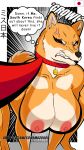 9:16 absurd_res angry anthro areola asian awesomemazda04 big_breasts border breasts brown_lips brown_nose canid canine canis cel_shading clenched_teeth collar cross-popping_vein dialogue digitigrade domestic_dog ears_up english_text eyelids female fur growling gums_showing hi_res inverted_nipples japanese japanese_flag japanese_text leash lips mammal ms._japan_(awesomemazda04) multicolored_body multicolored_fur name_tag nationality nipples nude nude_anthro onomatopoeia pink_areola pupils red_collar red_pupils sagging_breasts shaded shadow shiba_inu sitting snarling solo sound_effects spitz tail teeth text thought_bubble two_tone_body two_tone_fur watermark white_border
