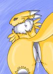  digimon renamon tagme 