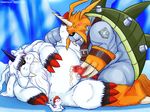  digimon gomamon ikkakumon pacrix zudomon 