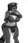  anthro big_breasts breasts clothing dickgirl digital_media_(artwork) fur hair hi_res huge_breasts intersex kenno_arkkan laugh mammal mugger my_life_with_fel pinup pose raccoon slightly_chubby smile solo standing thick_thighs underwear voluptuous wide_hips 