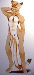  angiewolf anthro digitigrade featureless_crotch feline fur lion male mammal nude orange_fur pink_nose simple_background solo standing tan_fur 