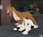  2017 alley anal anal_penetration anatomically_correct animal_genitalia ass_up big_dom_small_sub bolt bolt_(film) butt canine cum cum_in_ass cum_inside detailed_background disney dog duo erection feral from_behind_position fur german_shepherd hand_on_head knot male male/male mammal mcfan mounting outside penetration photo_background pitbull sex sheath signature simple_background size_difference tongue tongue_out white_background white_fur white_german_shepherd 