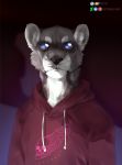  anthro blue_eyes clothed clothing digital_media_(artwork) ear_piercing feline hoodie lion looking_at_viewer mammal nerton nertonwilliams pantherine piercing solo 