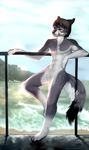  2015 5_fingers angiewolf anthro black_nose brown_eyes brown_fur canine day detailed_background eyelashes featureless_crotch fur grey_fur male mammal navel outside sky smile standing white_fur wolf 