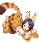  :d animal_ears blue_hair cosplay elbow_gloves gloves half-closed_eyes hayami_kanade highres idolmaster idolmaster_cinderella_girls jjune kemono_friends naughty_face open_mouth serval_(kemono_friends) serval_(kemono_friends)_(cosplay) serval_ears serval_print serval_tail simple_background smile solo tail thighhighs white_background yellow_eyes 