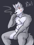  anthro canine cigarette looking_at_viewer male mammal muscular muscular_male nintendo nude scar smoking star_fox ventkazemaru video_games wolf wolf_o&#039;donnell 