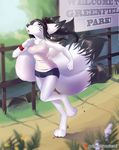  anthro canine clothed clothing female fur hair mammal matemi open_mouth outside running solo tongue 