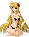  barefoot bikini black_bikini blonde_hair bracelet breasts brown_eyes cleavage collarbone eyebrows_visible_through_hair fate_testarossa flower full_body groin hair_flower hair_ornament hair_twirling hibiscus higa_yukari highres jewelry kneeling large_breasts long_hair lyrical_nanoha mahou_shoujo_lyrical_nanoha_strikers necklace o-ring o-ring_bikini red_flower smile solo swimsuit transparent_background underboob very_long_hair white_feathers 