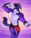  abs anthro biceps black_hair black_nose canine digital_media_(artwork) erection folf fox fur hair hybrid male mammal muscular pecs purple_fur purple_hair shyloc simple_background solo vallhund white_fur wolf 