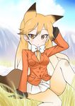  2017 animal_humanoid breasts canine clothed clothing cloud cute digital_media_(artwork) ezo_red_fox female fox fox_humanoid gloves humanoid kemono_friends looking_at_viewer mammal necktie skirt solo suit 