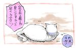  camera cat feline feral japanese_text mammal text translation_request 牝馬 