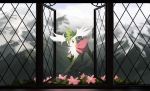  commentary creatures_(company) english_commentary flower flying game_freak gen_4_pokemon green_eyes hobermen looking_at_viewer nintendo no_humans open_window pokemon shaymin solo window 