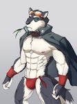 2017 abs anthro armpits biceps canine digital_media_(artwork) fur male mammal muscular muscular_male nipples pecs wolf 阿狼 