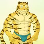  2016 abs anthro biceps clothed clothing digital_media_(artwork) feline fur male mammal muscular muscular_male pecs tiger topless underwear wildheit 