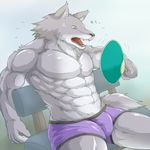  abs anthro biceps canine clothed clothing digital_media_(artwork) fur male mammal muscular muscular_male pecs topless wildheit wolf 