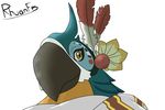  avian beak bird breath_of breath_of_the_wild clothers feathers kass_(zelda) nintendo princess_zelda rhuanfps rito solo the_legend_of_zelda video_games 