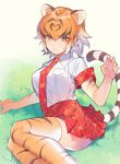  :3 animal_ears animal_print bad_id bad_pixiv_id breasts claw_pose collared_shirt gradient_hair grass hand_up heiwa_(murasiho) kemono_friends large_breasts legs_together light_smile looking_at_viewer multicolored_hair necktie orange_eyes orange_hair outdoors plaid plaid_neckwear plaid_skirt red_skirt shirt short_hair shorts sitting skirt solo streaked_hair striped striped_legwear striped_tail tail thighhighs tiger_(kemono_friends) tiger_ears tiger_print tiger_tail tsurime white_hair white_shirt 